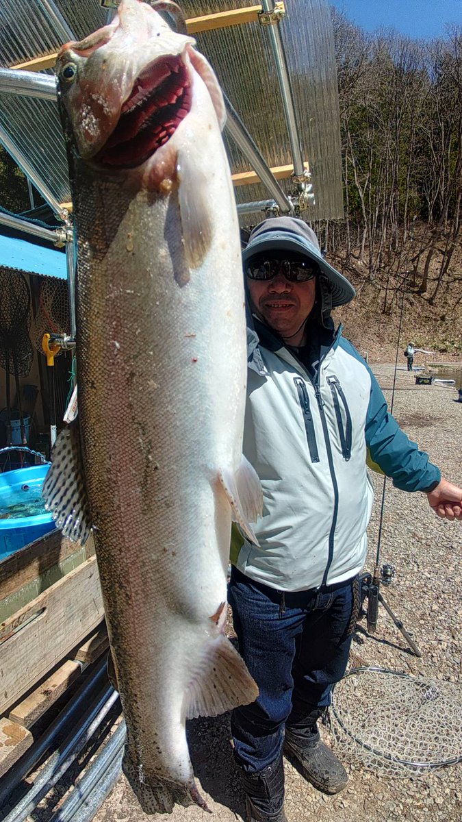あいづフィッシングエリア(公式)／AIZU FISHING AREA tweet media
