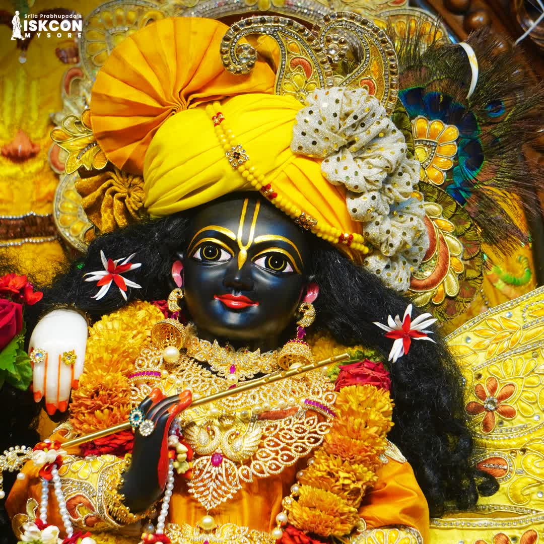 ISKCONMYSORE's tweet image. Darshan on Sunday, 12th April 2026 at ISKCON Mysore

#darshan #krishnabalaram #mantra #iskcon #sanatanadharma #radhekrishna #divinegrace #japa #god #meditation #vedic #divine #krishna #sundayvibes #spiritualsunday