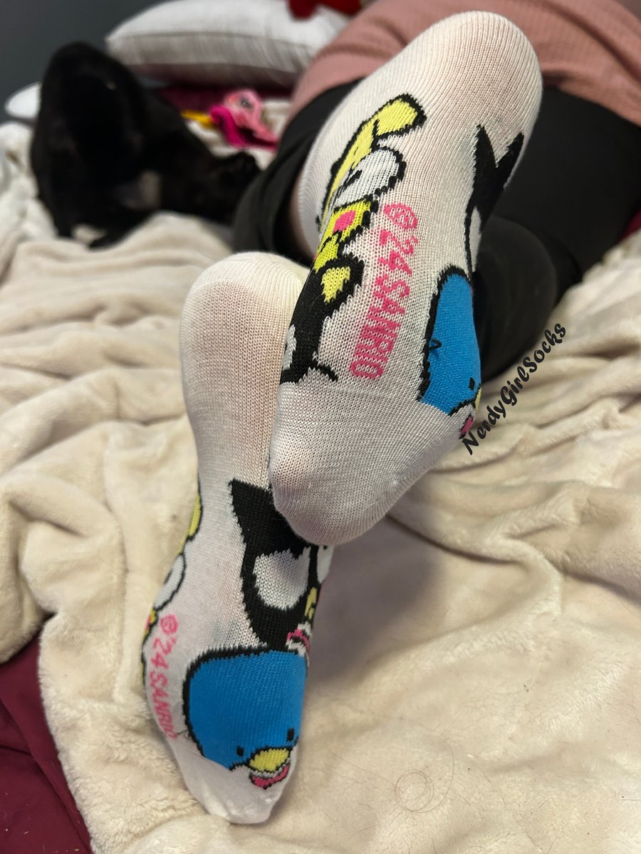 NerdyGirlSocks's tweet image. So it looks likes based on my poll from yesterday that the Hello Kitty &amp;amp; Friends socks are the fan favorites!  

Should I post the other pairs as well or one of the other sets? Let me know! 💕

#sanrio #socks #cutesocks #fypシ゚viral #explore #ソックス #양말