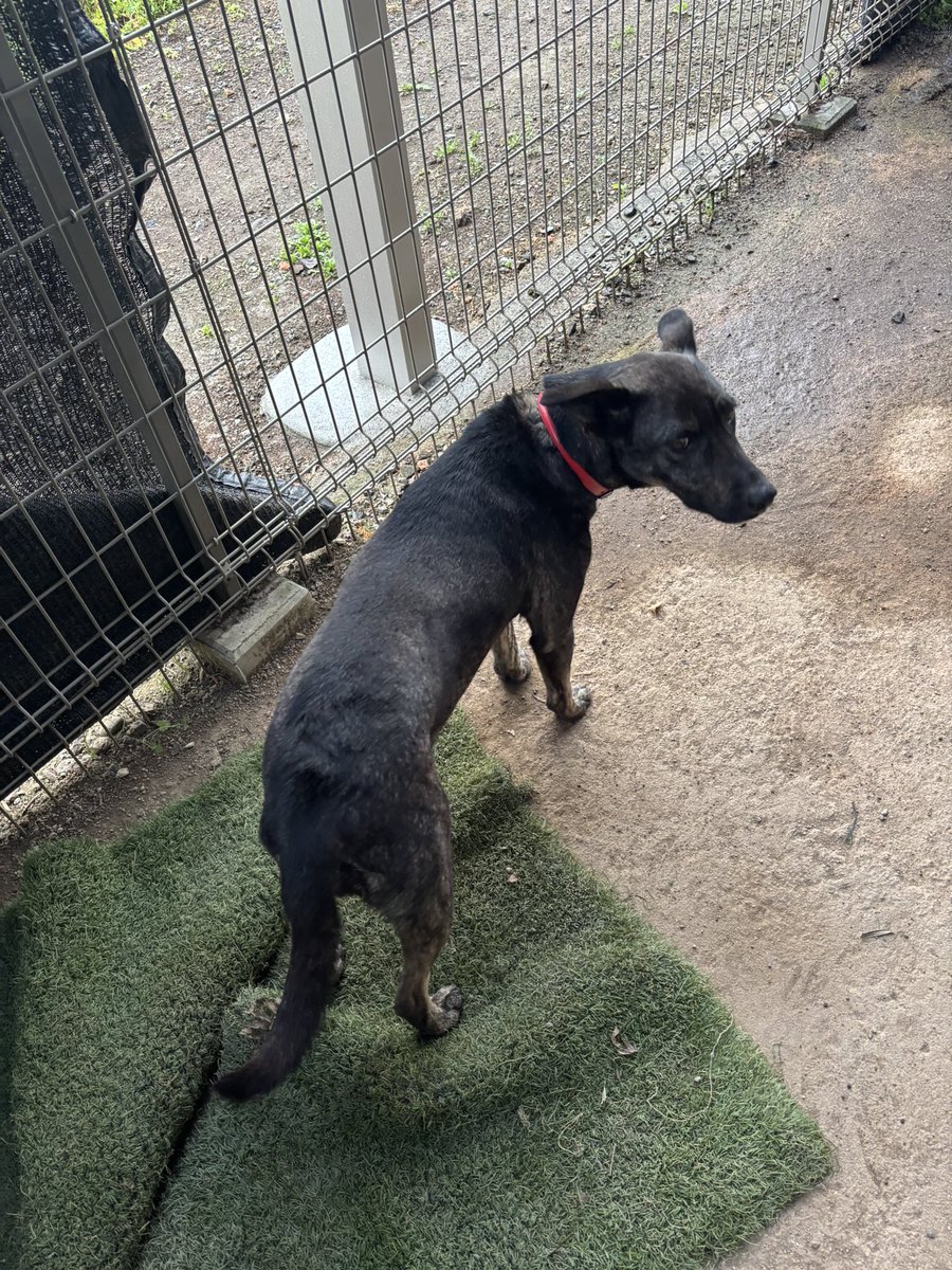 BNG🔔東2ち68ab tweet media