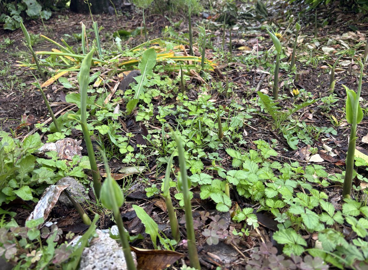 BNG🔔東2ち68ab tweet media