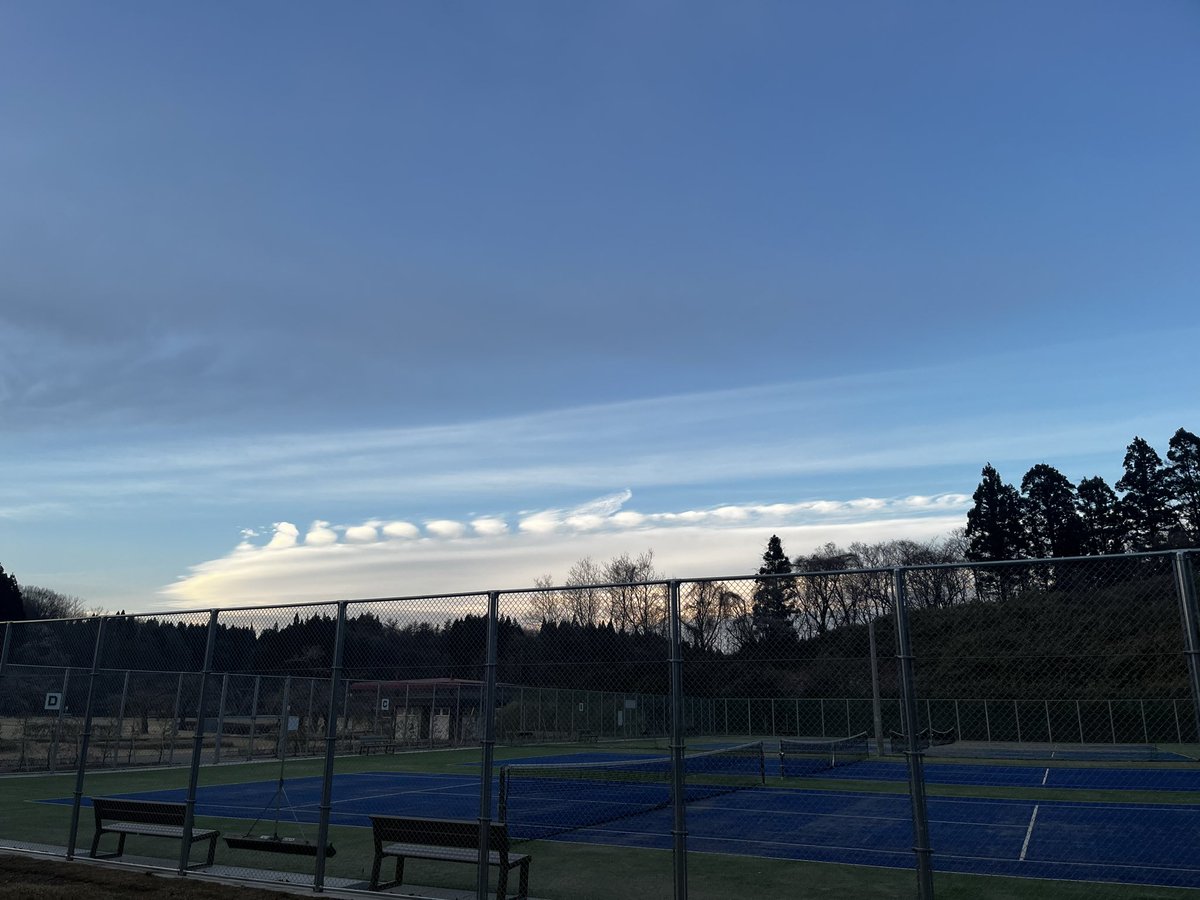 11TOMOp's tweet photo. 先日の9日(木)の夕方、小泉潟公園へ行った時の写真！
桜はまだちょっと早いかなぁ…って感じでした。
空を見たら変わった雲で撮ってみた☁️
こんな雲初めて見た😳 https://t.co/oiZNjVlsFU