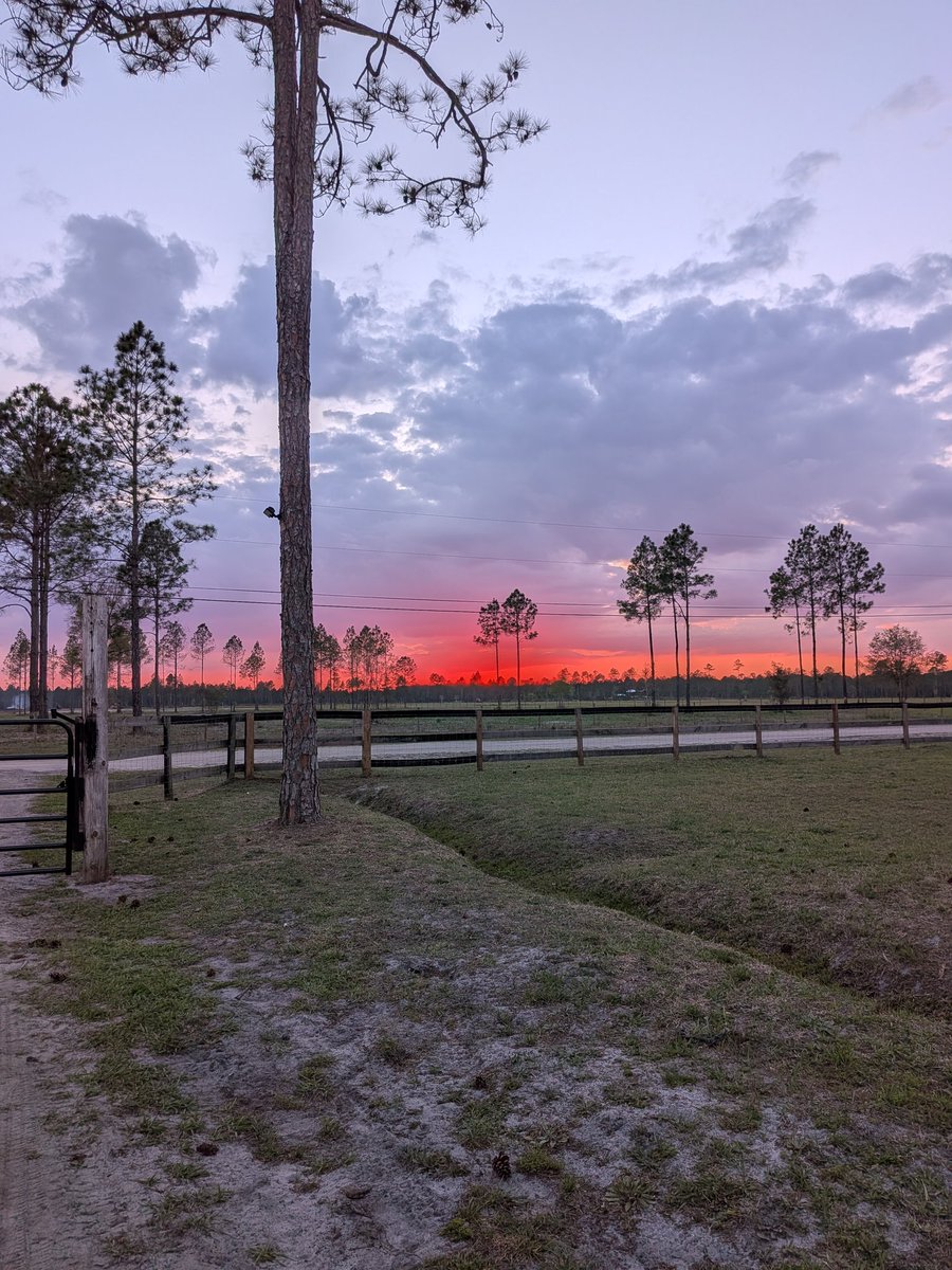 Misty ⭐⭐⭐⭐⭐ 👽 tweet media