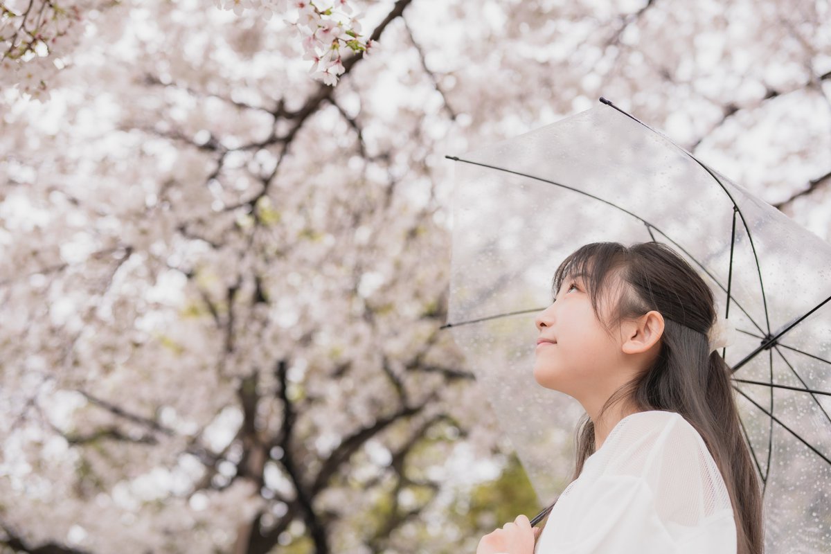 よういち tweet media