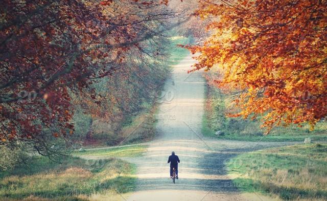 bicyclesbeyond's tweet image. “#Bicycling: the nearest approximation I know to the #flight of #birds.”
– Louis J. Helle Jr. 🚲

Good Sunday morning dear #BikeFriends 💚🚴🏼💛🚴🏼‍♀️🧡🚴🏼‍♂️ 🫶🏽