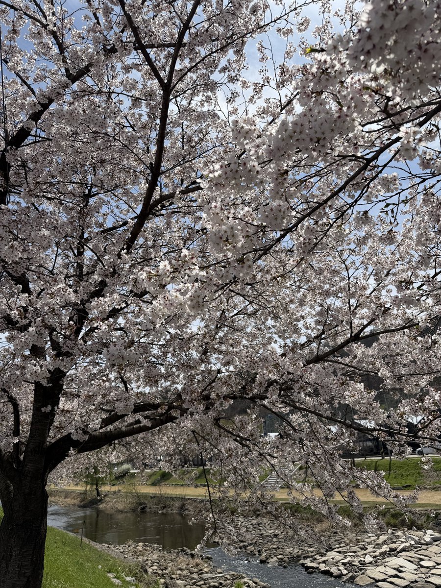 본엠파 tweet media