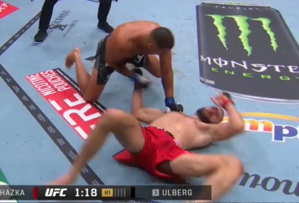 Martys Hairline tweet media