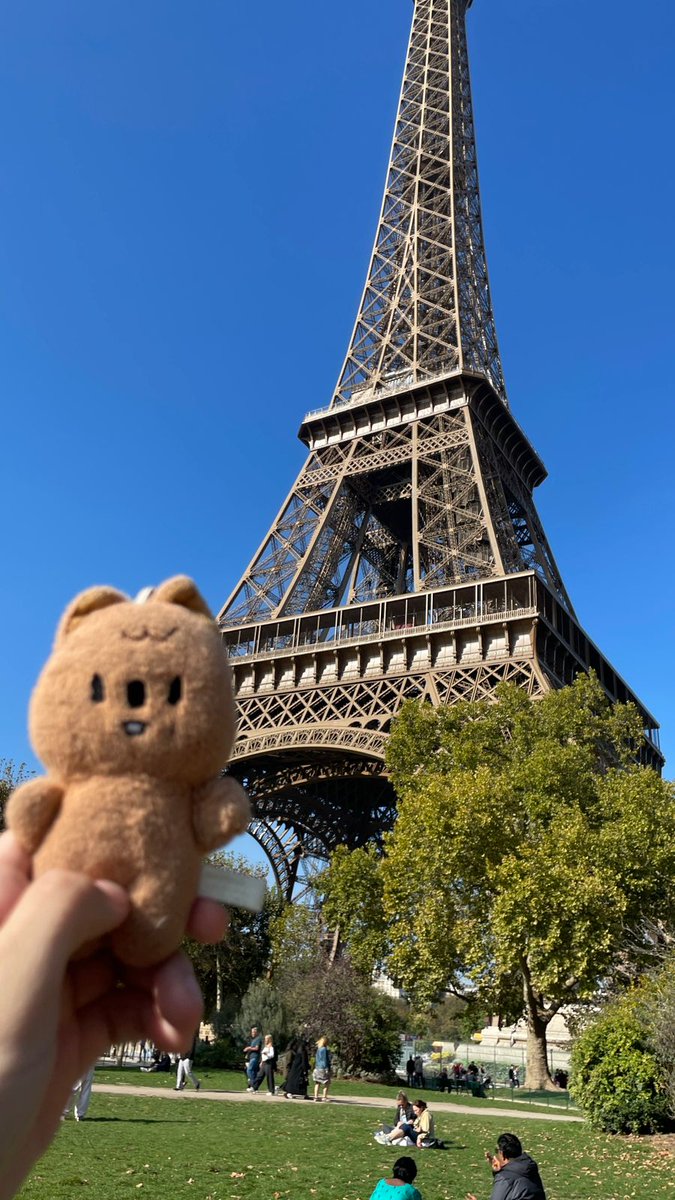 nico (-_-メ) 🚒 tweet media