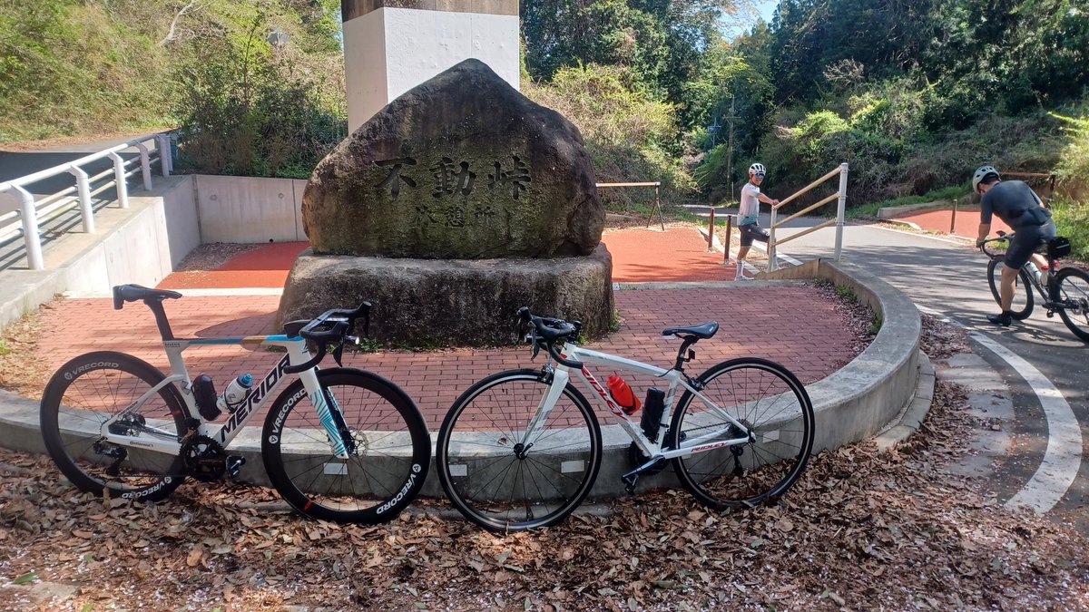 nobu miya tweet media