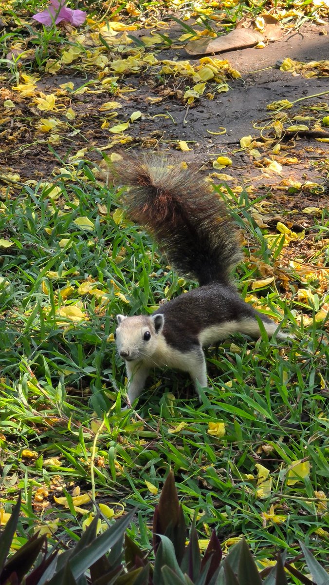 「ไปไหนก็ได้ โตล้าว」 tweet media