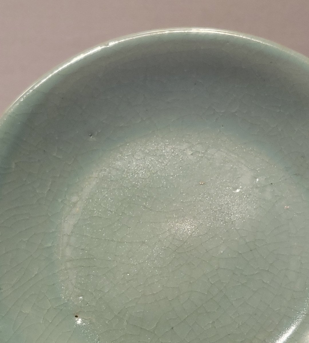 서울물곰SeoulWaterBear tweet media