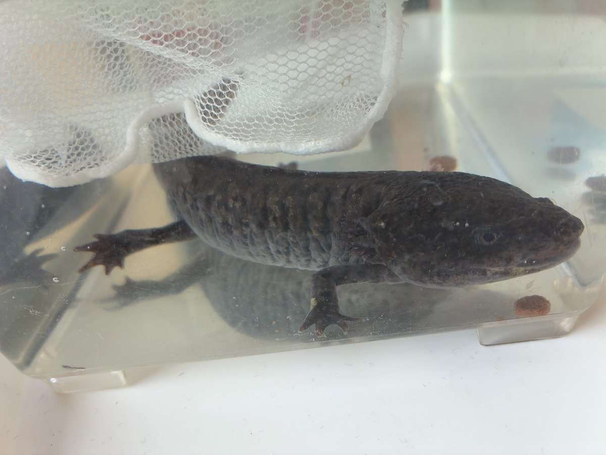 SHINON🤗 tweet media