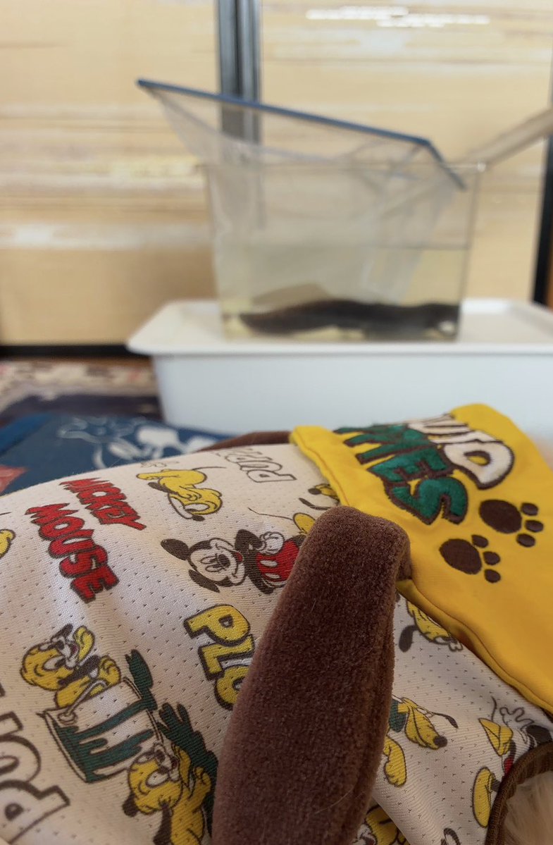 SHINON🤗 tweet media