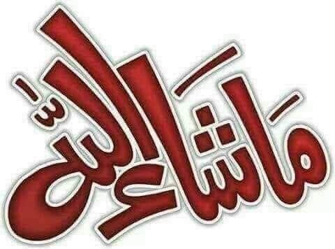 Abbas Mehar tweet media