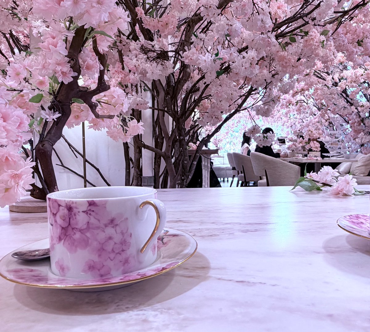 buttipa's tweet image. すごいきれい
#HAUTE COUTURE BRUNCH