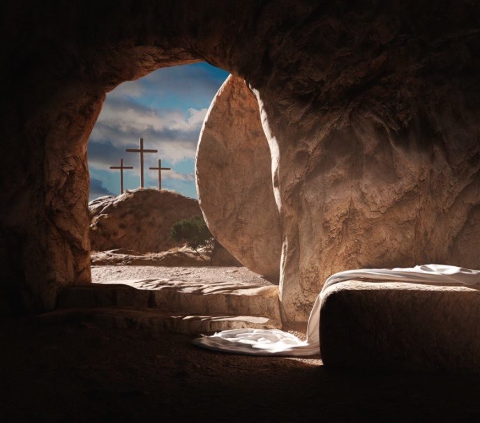 MMCrypto tweet media