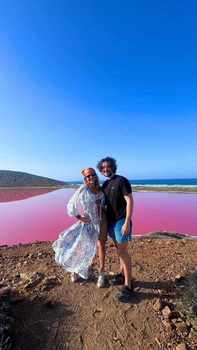 Shia Bertoni tweet media