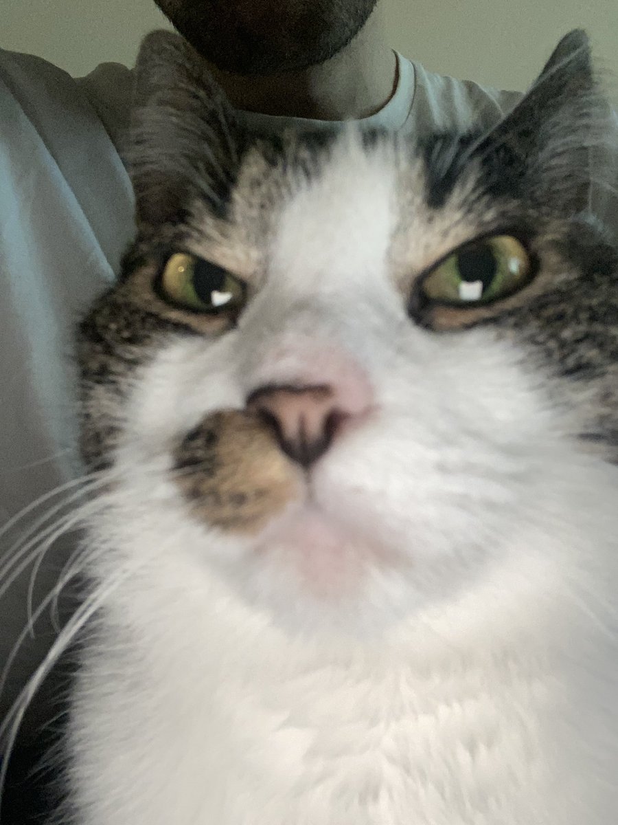 >:3