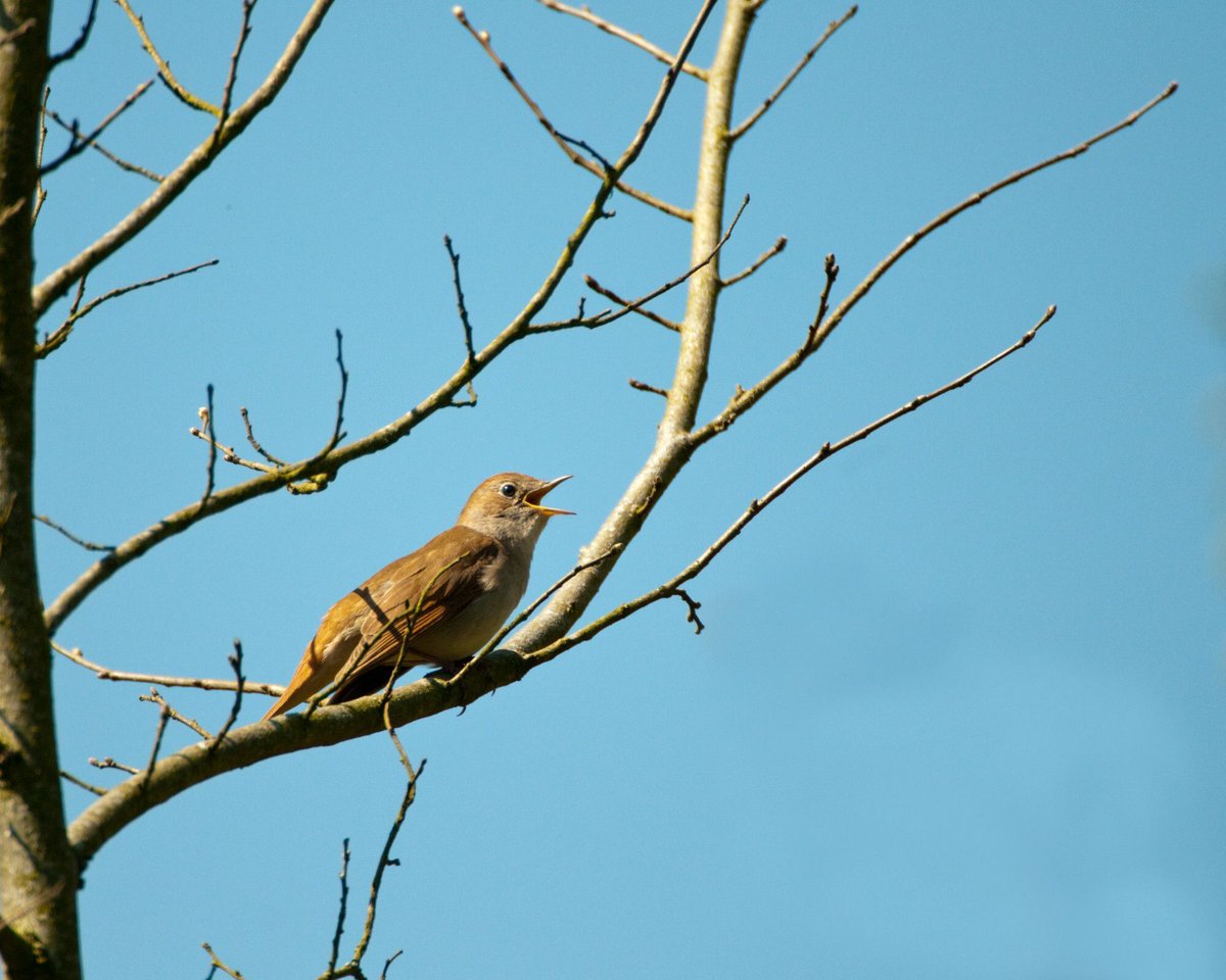 South Downs National Park tweet media