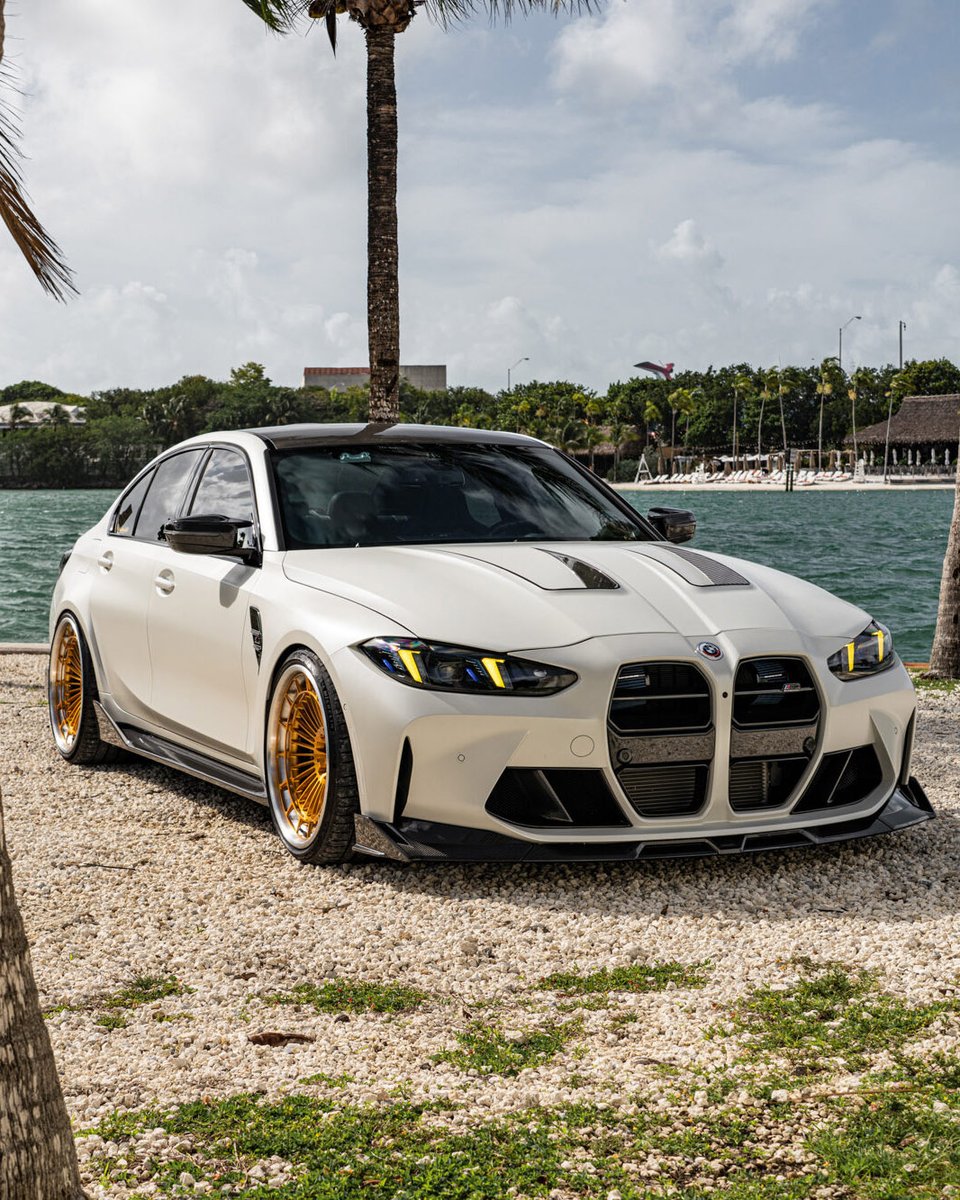 VOSSEN_JAPAN tweet media