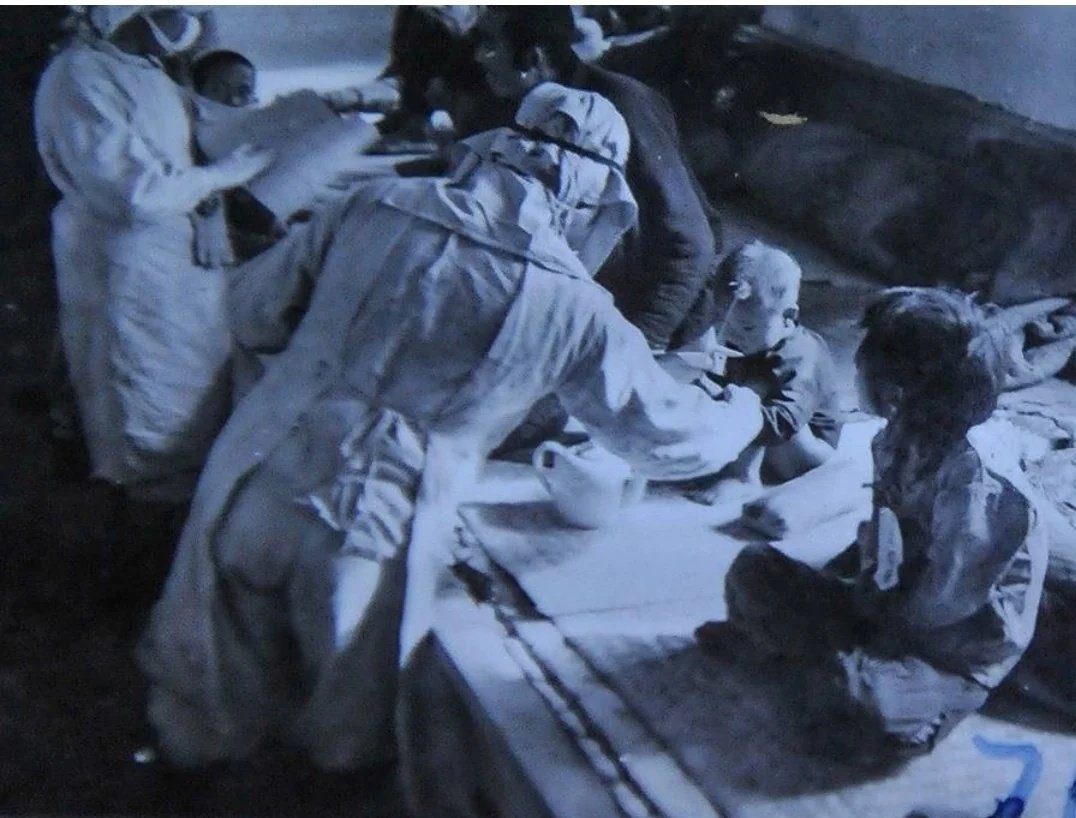 WW2 The Eastern Front tweet media