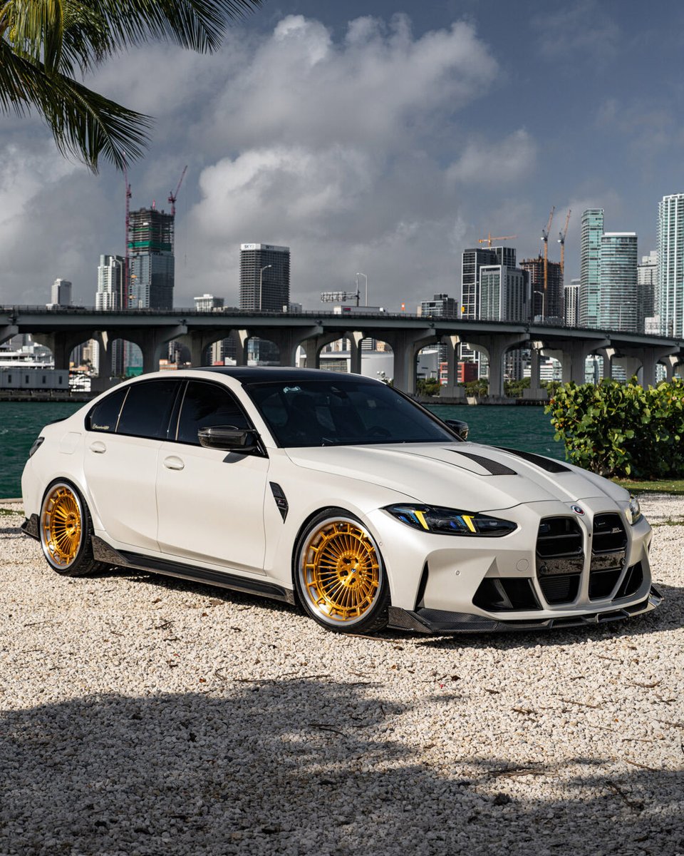 VOSSEN_JAPAN tweet media