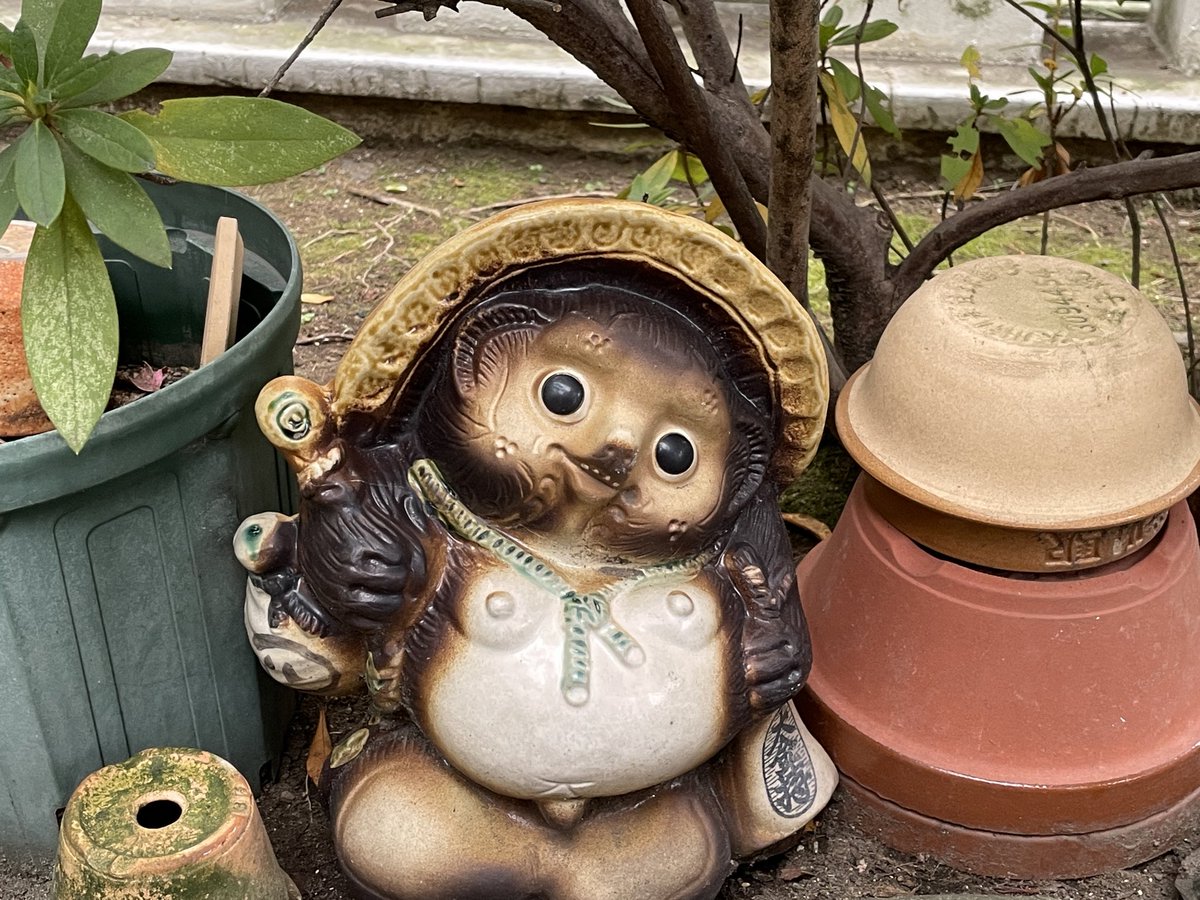 ぐんたー tweet media