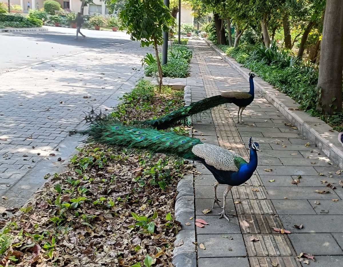 NarottamVinit's tweet photo. Guess the place?? https://t.co/j2gJXxuijj