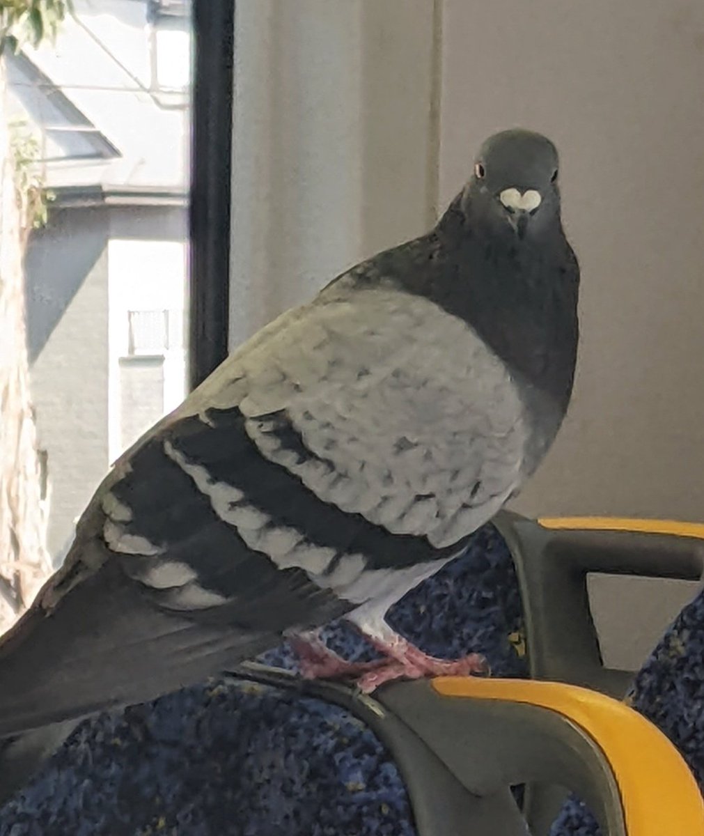 Sophie ⚢ tweet media