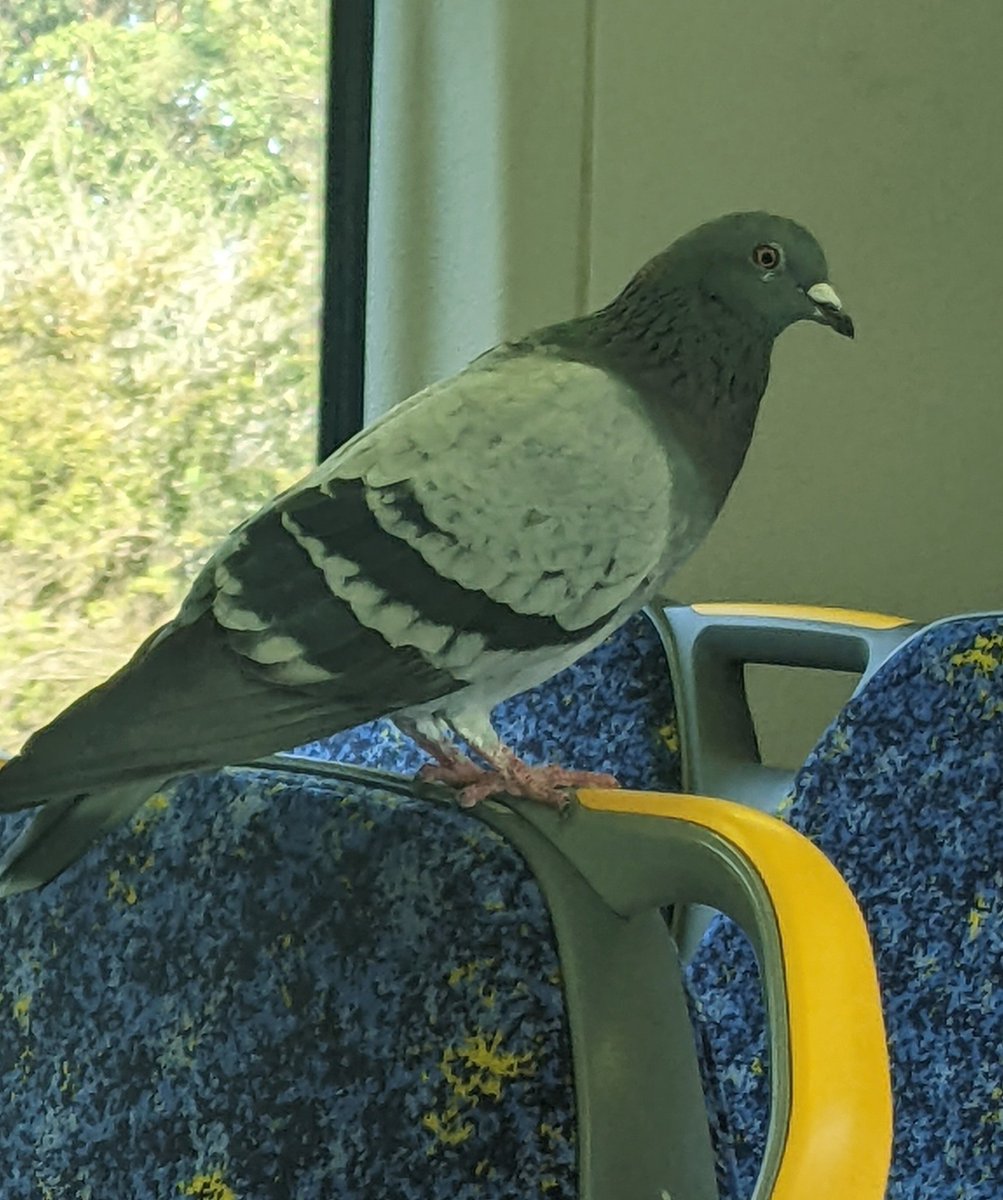 Sophie ⚢ tweet media