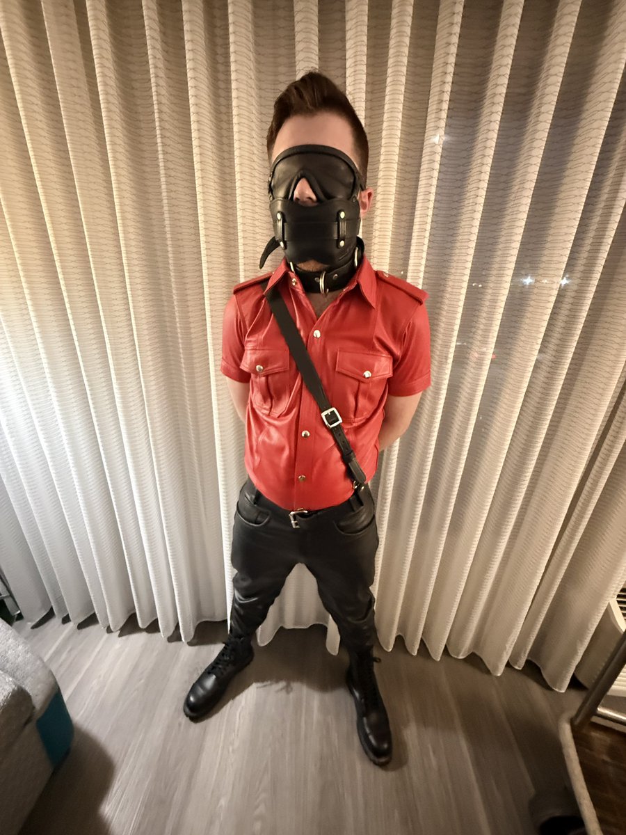 DomProfessor tweet media