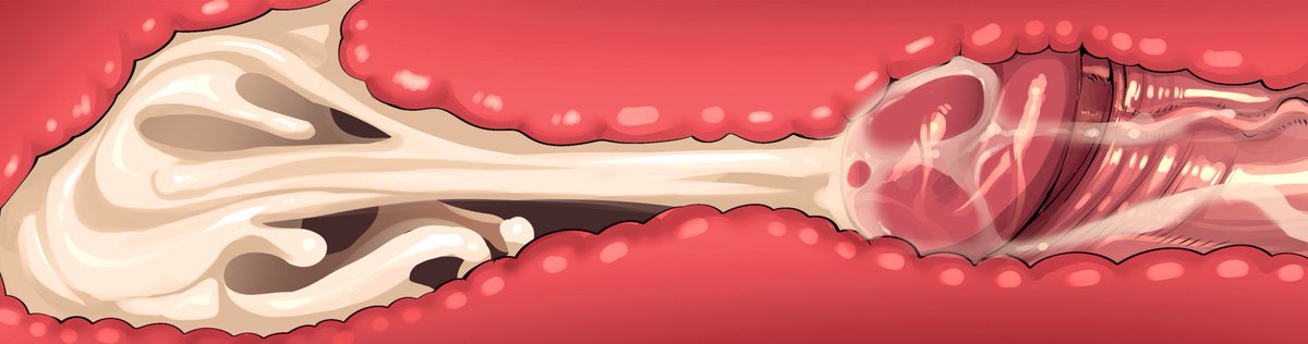 𝓖𝓮𝓷𝓮𝓻𝓪𝓵 𝓕𝓮𝓲𝔁𝓲𝓪𝓸 tweet media