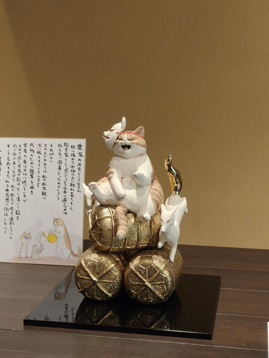 白亜器　にゃ体盛り皿 白亜器 hakuaki (@hakua_ki) / Posts / X