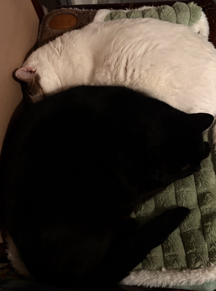 HuellasUrbanasSf tweet media