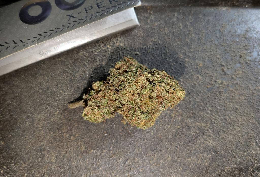 ForTheLuvOfSeeds tweet media