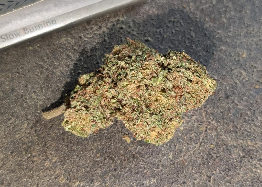 ForTheLuvOfSeeds tweet media