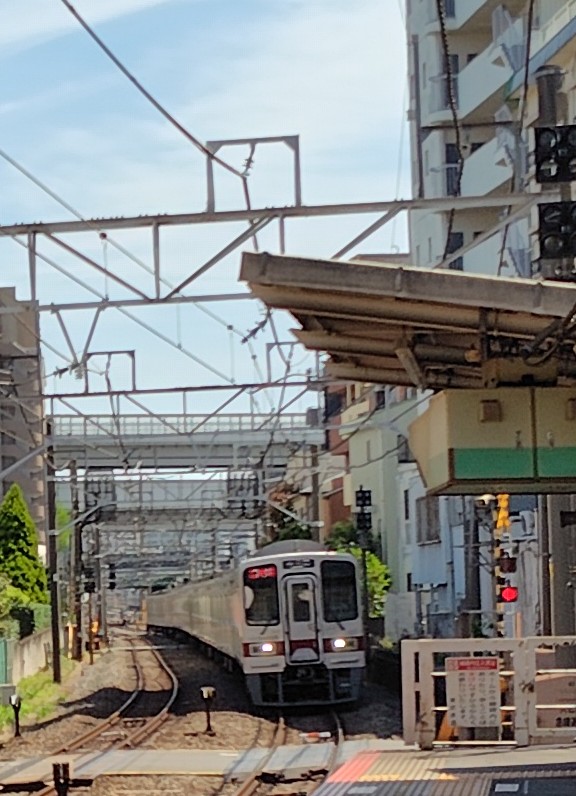 菊次郎 tweet media