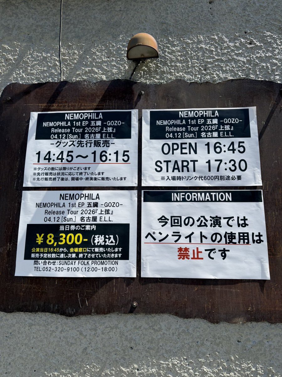 NEMOPHILA tweet media