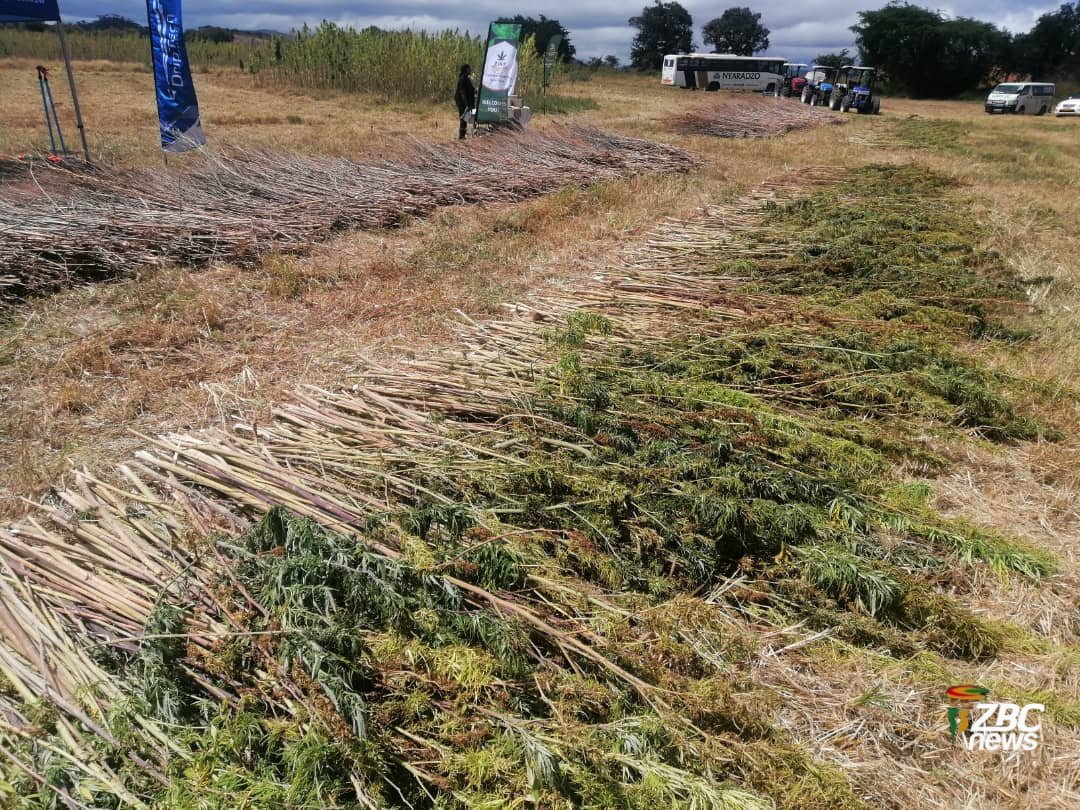 ZBC News tweet media