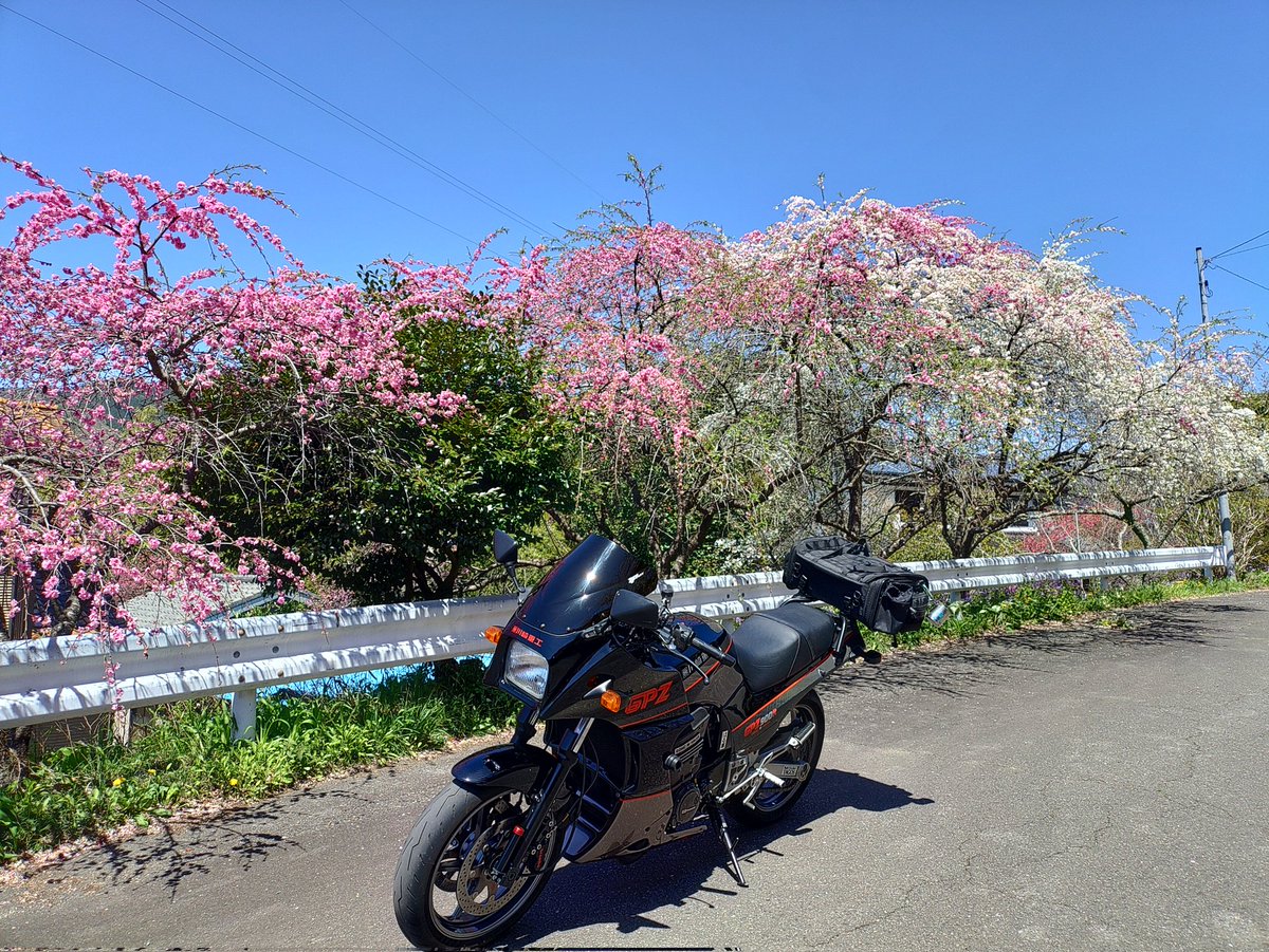 こぶへい@珈琲飲みに行きたい tweet media