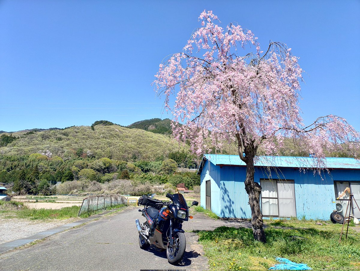 こぶへい@珈琲飲みに行きたい tweet media