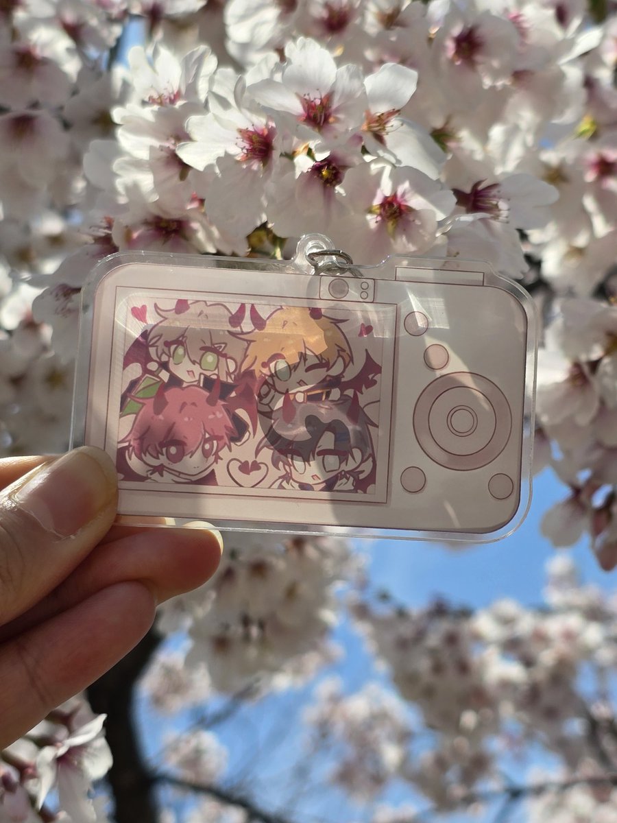 사쿠라🌸 tweet media