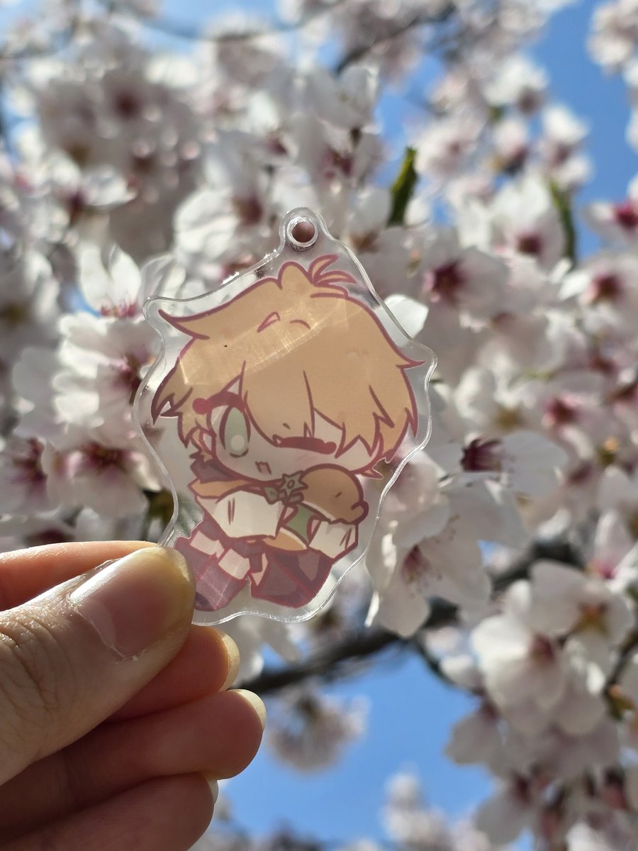 사쿠라🌸 tweet media