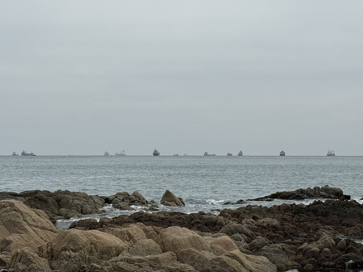 토마토막 tweet media