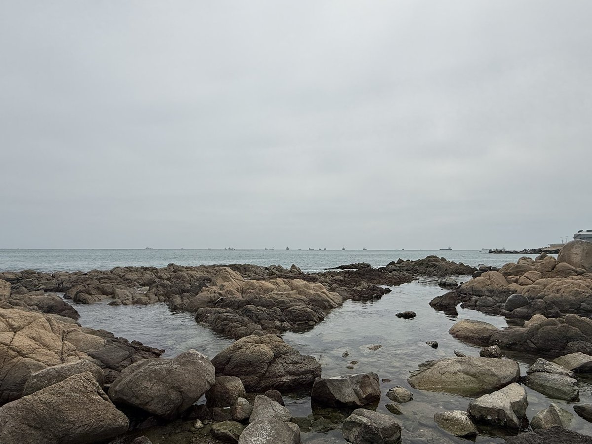 토마토막 tweet media