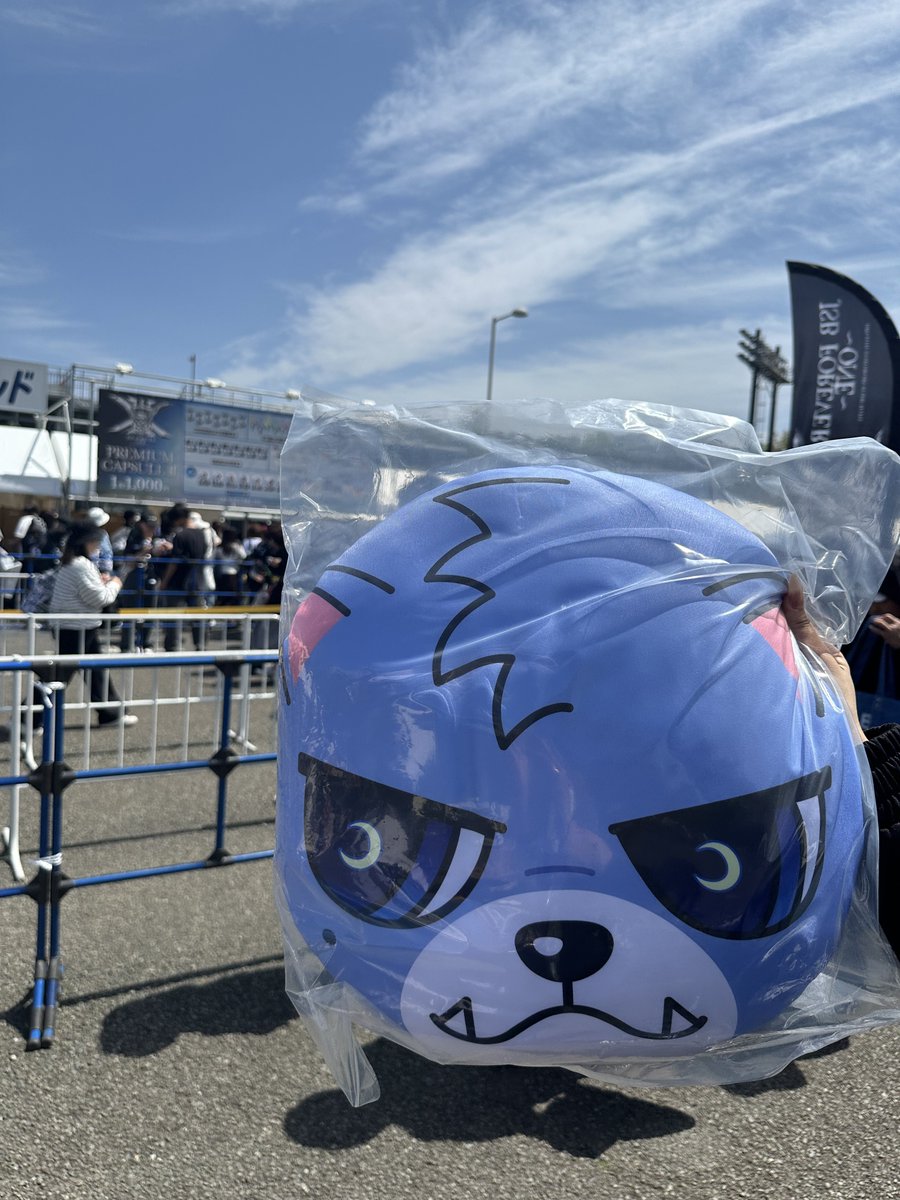 🐺mie💙ØMI🐺 tweet media