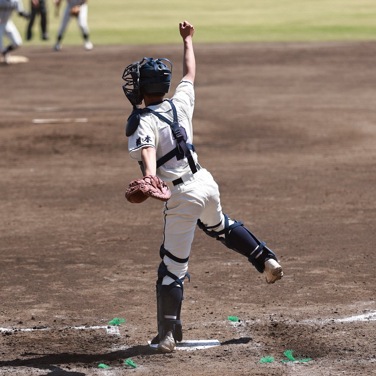 まっしゅ tweet media