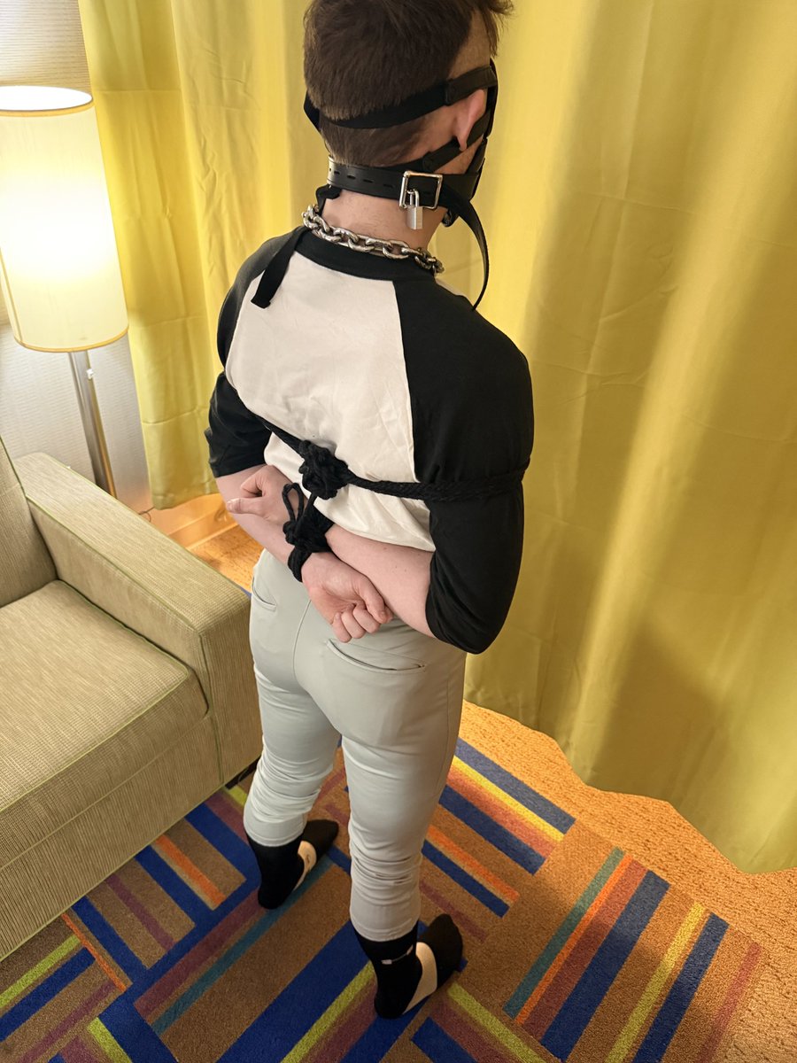 DomProfessor tweet media