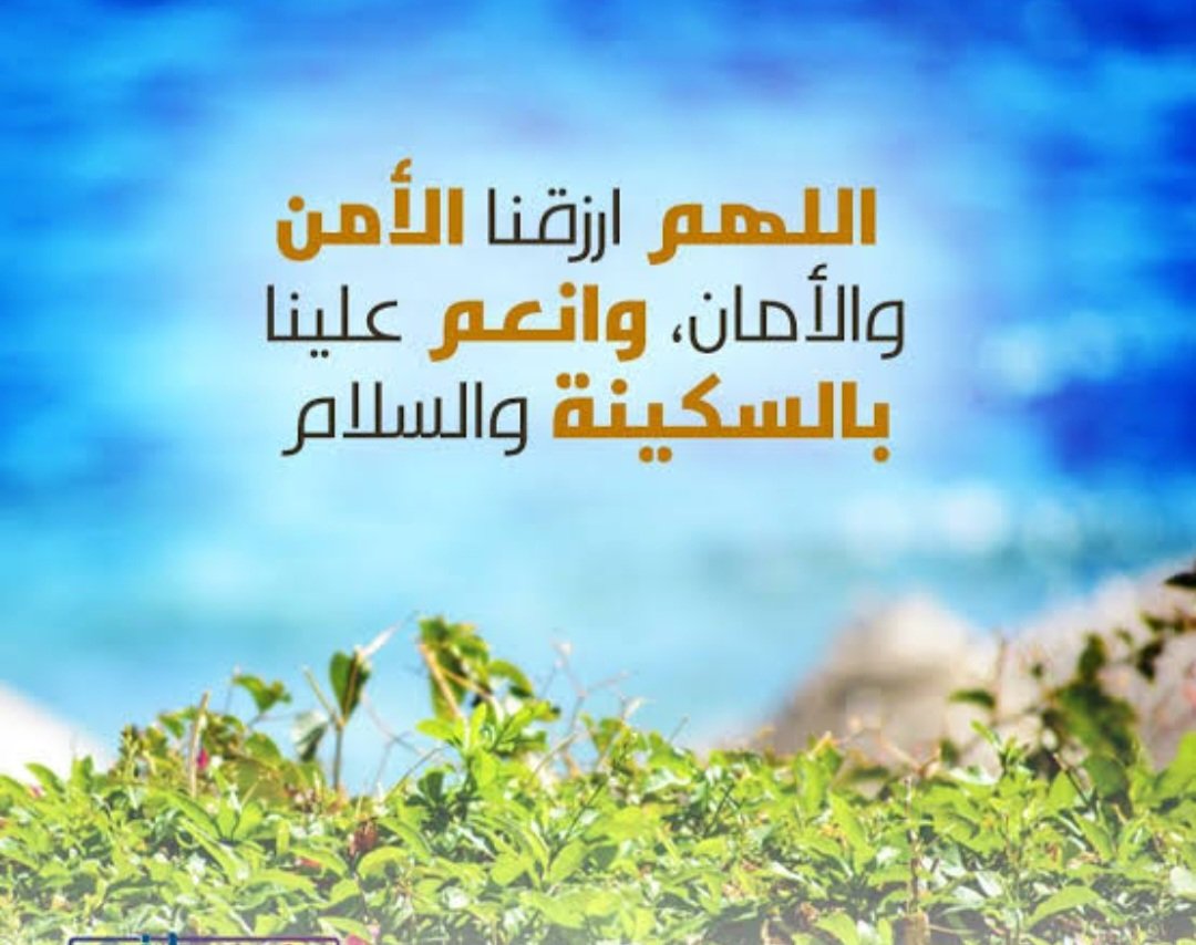 mahmoud rass tweet media