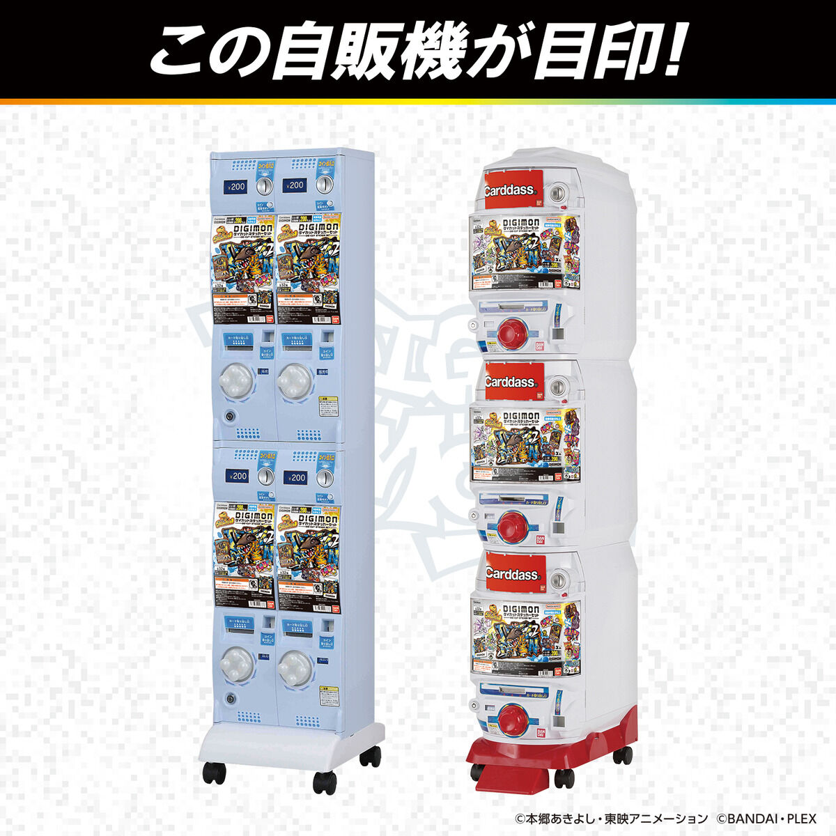 あみあみ秋葉原ラジオ会館店】 バンダイ様の 「DIGIMON ダイカット